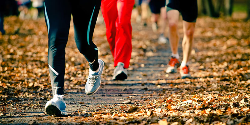 6 tips for great fall running - Run Ottawa
